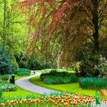 Tranh dán tường Hàn Quốc 3d khổ lớn ở Hà Nội NA - 464